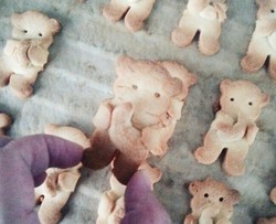 抱栗子的小熊饼干