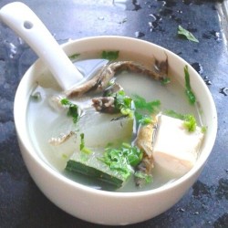 泥鳅冬瓜豆腐汤