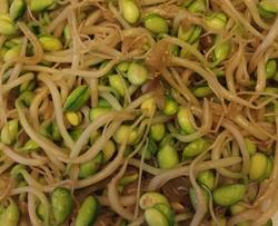 美极豆芽