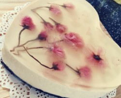 水晶樱花芝士蛋糕