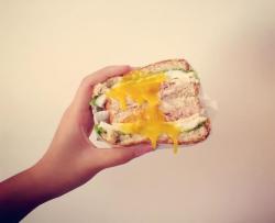 萌萌哒金枪鱼sandwich
