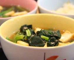 昨日的美食》之菠菜油豆腐味噌汤