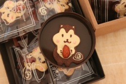 卡通饼干 - 杏仁小松鼠饼干和熊猫饼干