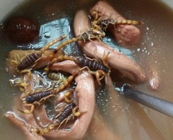 土茯苓水蛇蝎子汤