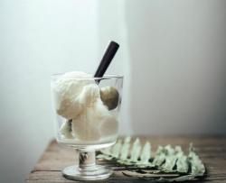夏天的清冽甜品—梅酒冰淇淋