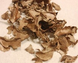 核桃分心木