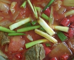 蕃茄炖牛肉
