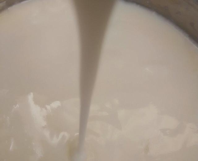 发酵酸奶