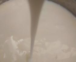 发酵酸奶