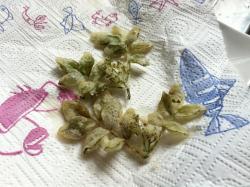 脆炸花椒芽——附炸脆油清的小小小决窍