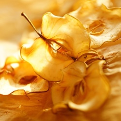 苹果的一百种吃法:苹果脆片