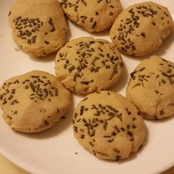 迷迭香小饼