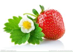 九种草莓的做法