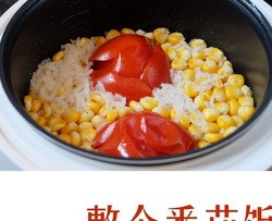 整个番茄饭加强版