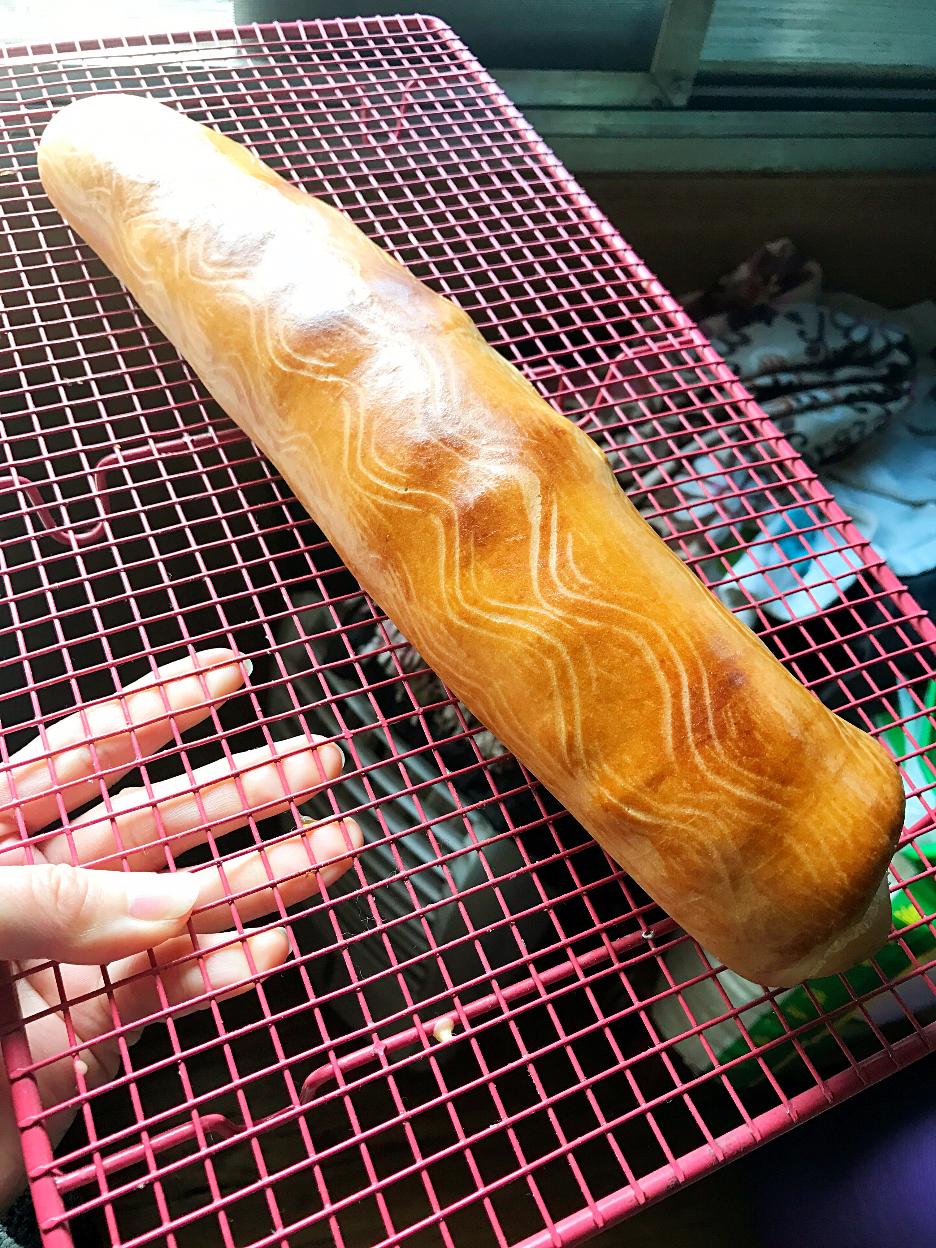 欧式木材硬质面包