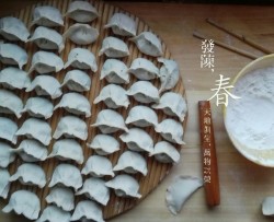 春韭荠菜鲜肉饺子