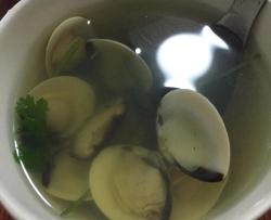 白贝菌汤