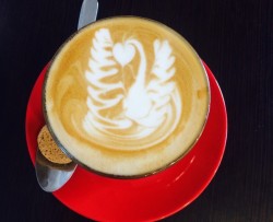 cafe exploration in Melbourne,墨尔本咖啡·甜点小试