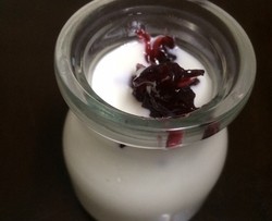 酸奶制作