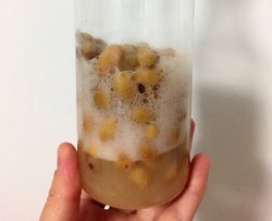 天然酵种养成记