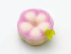 牵牛花--雪平