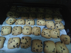蔓越莓小饼干