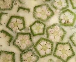 秋葵蒸蛋