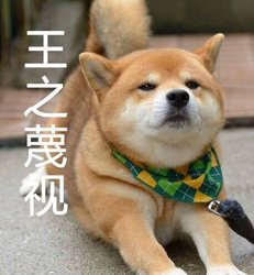 仙女的菜谱 你确定你不看