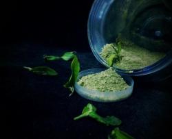 自制绿茶粉