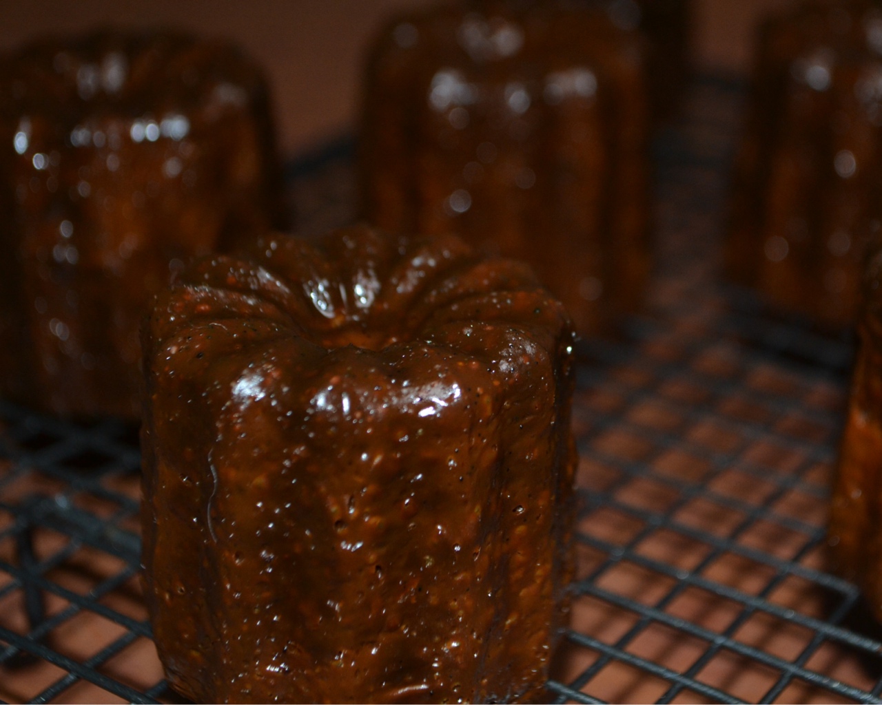 Cannelés 可露丽