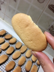 提拉米苏手指饼干