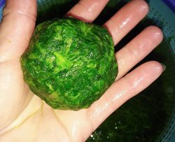 艾叶处理及保存方法