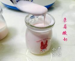 自制草莓味酸奶