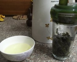 简单泡一杯清爽的绿茶