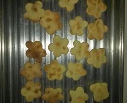 独家小饼干