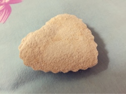 魔芋纤维饼干