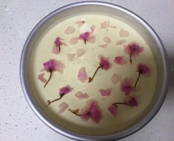 美貌的樱花冻芝士酸奶蛋糕