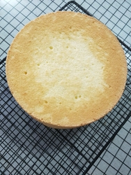 快速8寸烫面戚风