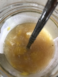 自制蜂蜜柠檬茶