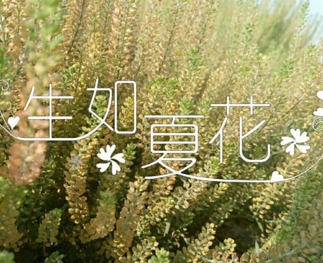 吃