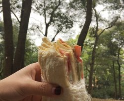 野餐踏青