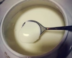自制酸奶