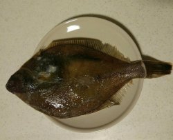 孕餐:红烧阿拉斯加黄金鲽鱼