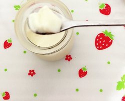 牛奶布丁