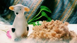 肉松