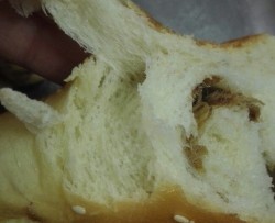 面包机揉出手膜,一次发酵面包