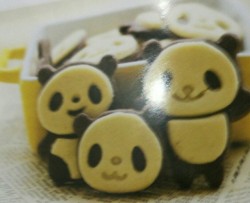 超可爱的熊猫饼干