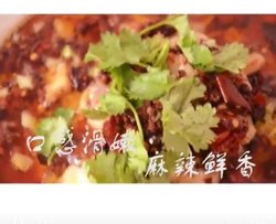 水煮鱼