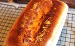 最喜欢的面包--烤箱版纯手工椰蓉吐司面包