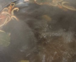 完全没膻味的羊骨汤